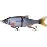 Воблер SAVAGE GEAR 3D Roach Shine Glider135 13.5cm 29g SS 01-Roach PHP 62246